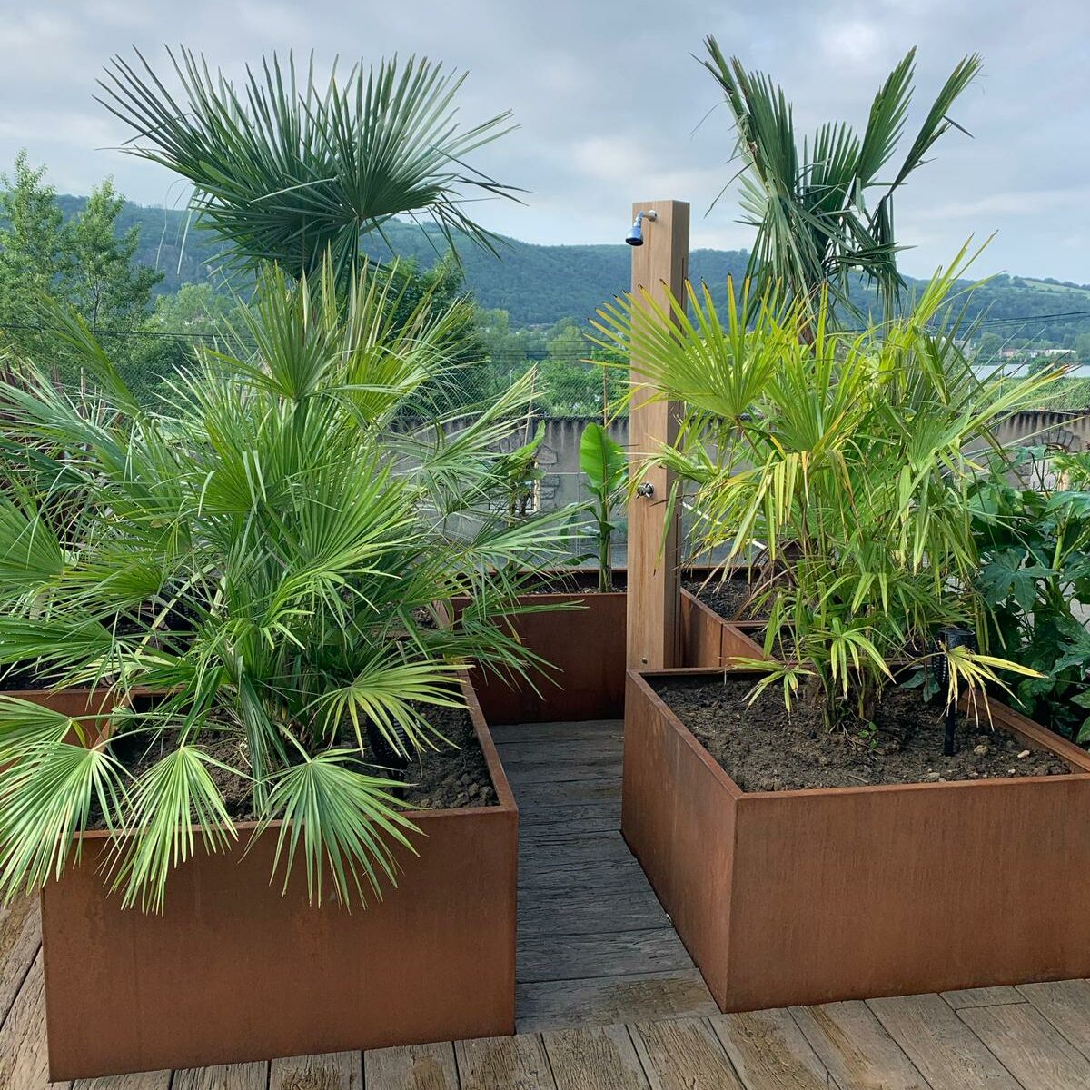 Espace extérieur aménagé avec des jardinières extérieures en acier, adaptées pour des plantes tropicales et exotiques.